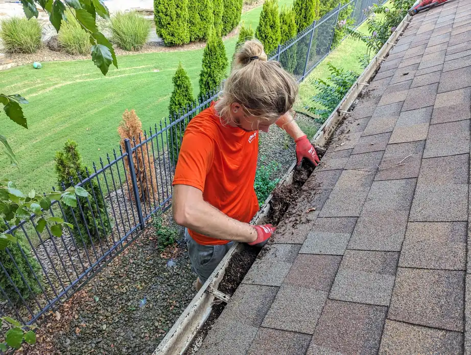 Gutter Cleaning